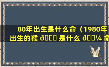 80年出生是什么命（1980年出生的猴 🐛 是什么 🌼 命）